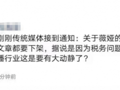 薇娅辟谣因税务问题被封杀：不是我们 假的别相信