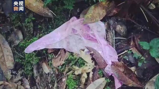 哀牢山遇难人员或不知定位仪能求救！4人是否有野外勘查经验？
