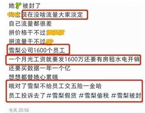 网红雪梨林珊珊社交账号被封怎么回事?雪梨林珊珊微博账号被封原因曝光