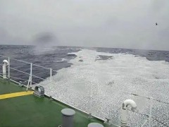 日本青森县近海出现密密麻麻鱼类尸体：原因尚不明确