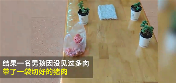 幼儿园老师让带多肉植物男孩带猪肉：小朋友们最后集体加餐