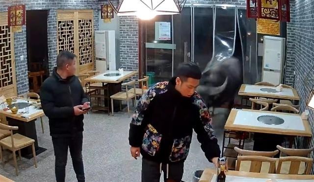 待宰水牛发狂冲进餐馆顶飞男子