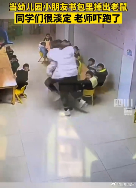 幼儿园小朋友书包掉出老鼠吓坏老师 现场画面曝光太搞笑了