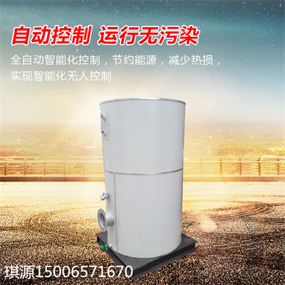 沼气锅炉--3