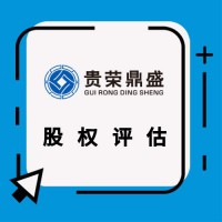 成都市企业股权评估企业价值评估破产清算评估