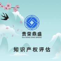 厦门市版权价值评估知识产权评估专利和软著评估商标价值评估