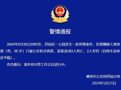 湖南郴州伤人案已致2死3伤 嫌犯被捕，调查进行中【快讯】