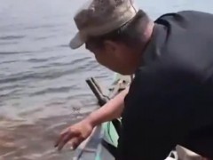 东北渔民捞到两米多长野生达氏鳇鱼 巨型罕见引网络热议【快讯】
