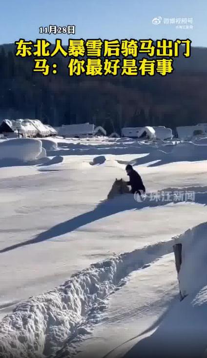 东北人暴雪后骑马出门