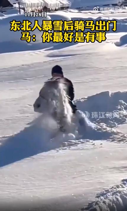 东北人暴雪后骑马出门