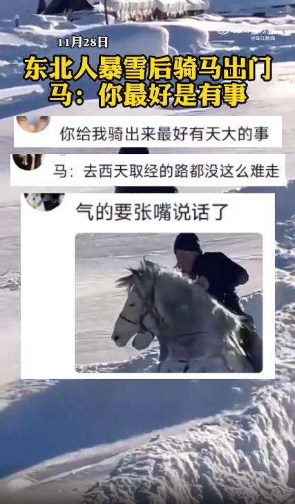 东北人暴雪后骑马出门