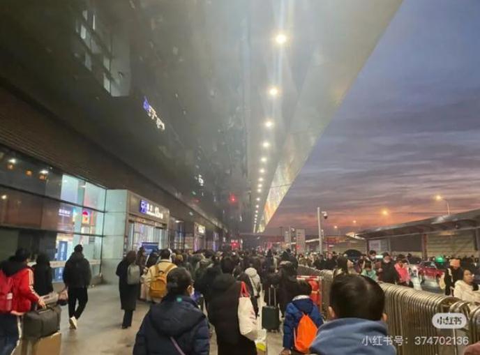 第一批回家过年的猫狗已经在路上了
