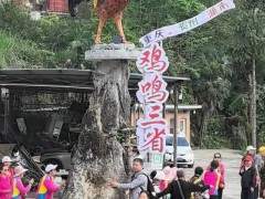 农家乐扫码闻鸡鸣遭跟风恶搞 网友远程扫码引热议【热搜】