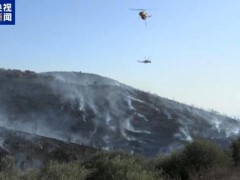 希腊雅典附近山火肆虐 40人紧急转移【热搜】