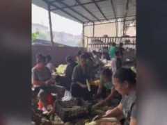 村民齐帮厨撑起救援后方食堂 爱心餐温暖一线【热搜】