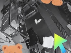 知名连锁汉堡店被曝后厨成蟑螂窝 食品安全问题频发【热搜】