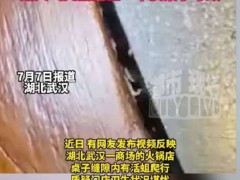 市监回应火锅店有活蛆爬行 店铺停业整顿【热搜】
