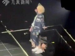 鹿晗演唱会差点摔下升降台 究竟啥情况？