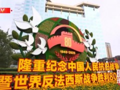 见证祖国强盛时刻 吾辈更添奋进底气 共忆胜利同创未来【热搜】