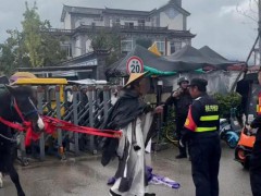 男子骑马在大理洱海与保安起冲突 遵守规定引发争执【热搜】