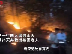 四名男子偶遇山火果断上前扑灭 及时救援显担当【热搜】