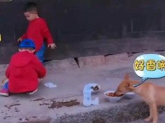 爸爸去哪儿4》9年未解之谜破案了 内幕曝光让人意外！