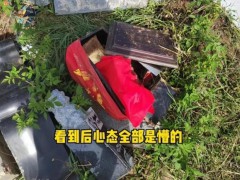 【5人破坏8岁早夭男童坟墓被行拘 案件引发广泛关注】