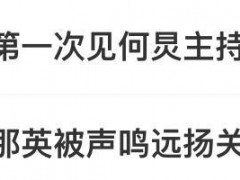 那英质疑票数作假 何炅差点没救回场 内幕曝光让人意外！