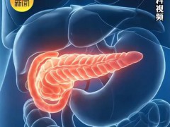 25岁网红饮食追求零碳零脂致胰腺坏死 极端节食危害大[热点]