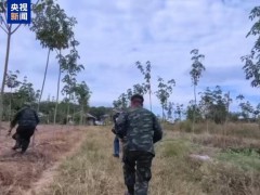 柬埔寨首相：支持停火提议 力促局势降级[热点]