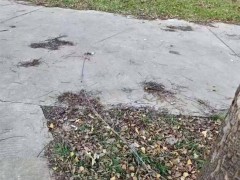 男子被铁丝割喉身亡 公园安全隐患引关注[热点]