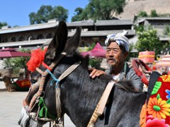 驴1天片酬500元 600年古村全员演技派  内幕曝光让人意外！