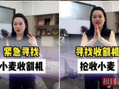 女主播全网征集收割机帮农民抢收 麦田里的紧急救援[推荐]