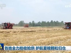 各地多措并举确保“三夏”抢收 全力护航夏粮归仓[热点]