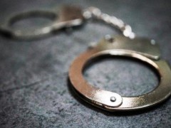 2人设立运营18个仿冒网站被抓 严打网络假冒犯罪[推荐]