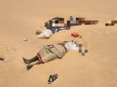 尼日尔卡车沙漠抛锚至少49人渴死 撒哈拉悲剧再现[热点]