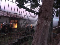 上海一住宅因一锅粽子发生火情 无人看管酿成灾祸[推荐]